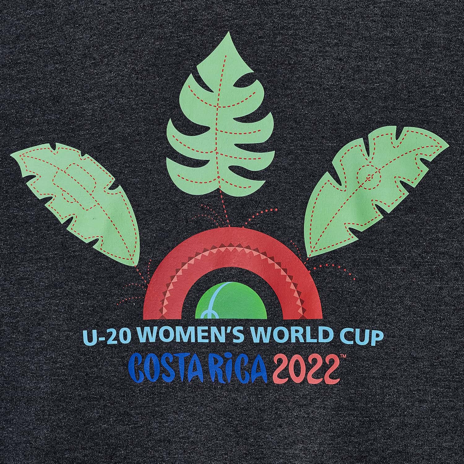 2022 U20 Women's World Cup Costa Rica Logo Grey Hoodie - Youth