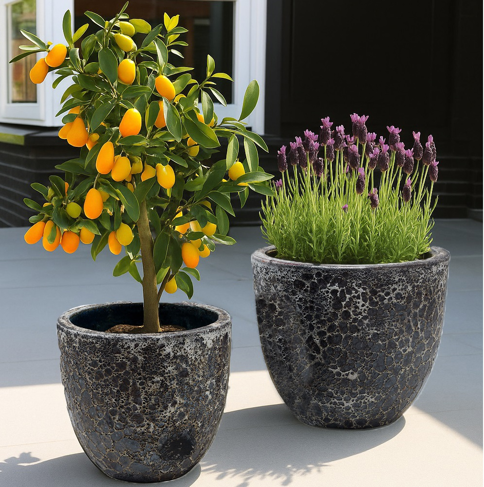 Plantenpot Laki relic black Ø36/35xH34/25 cm - set 2 stuks