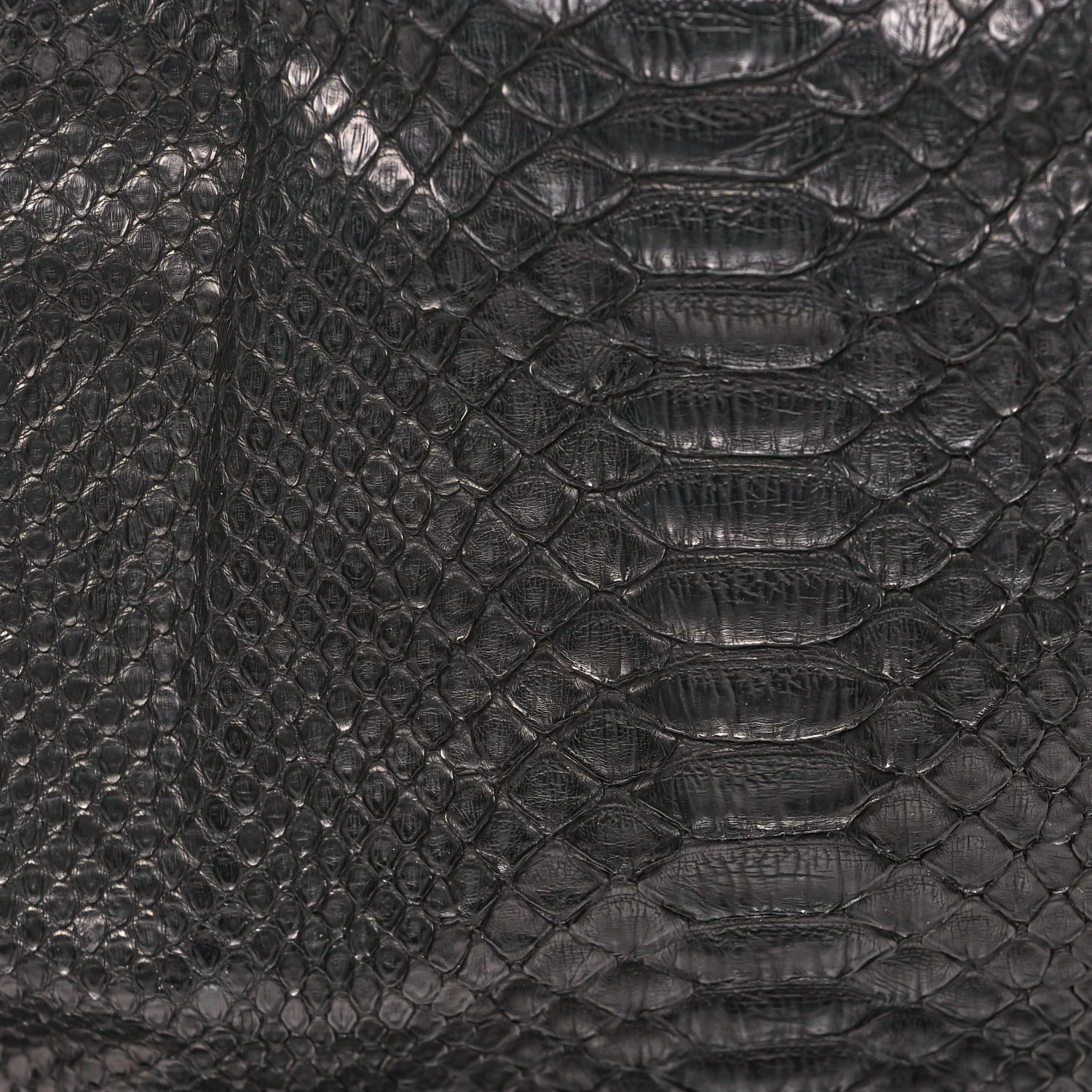 Snakeskin Rock and Chain Hobo Black - Top Club
