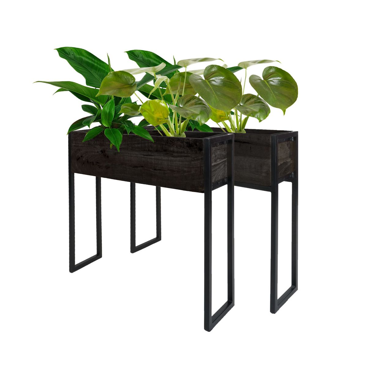 Plantenbak Faab Zwart Mangohout – Set van 2