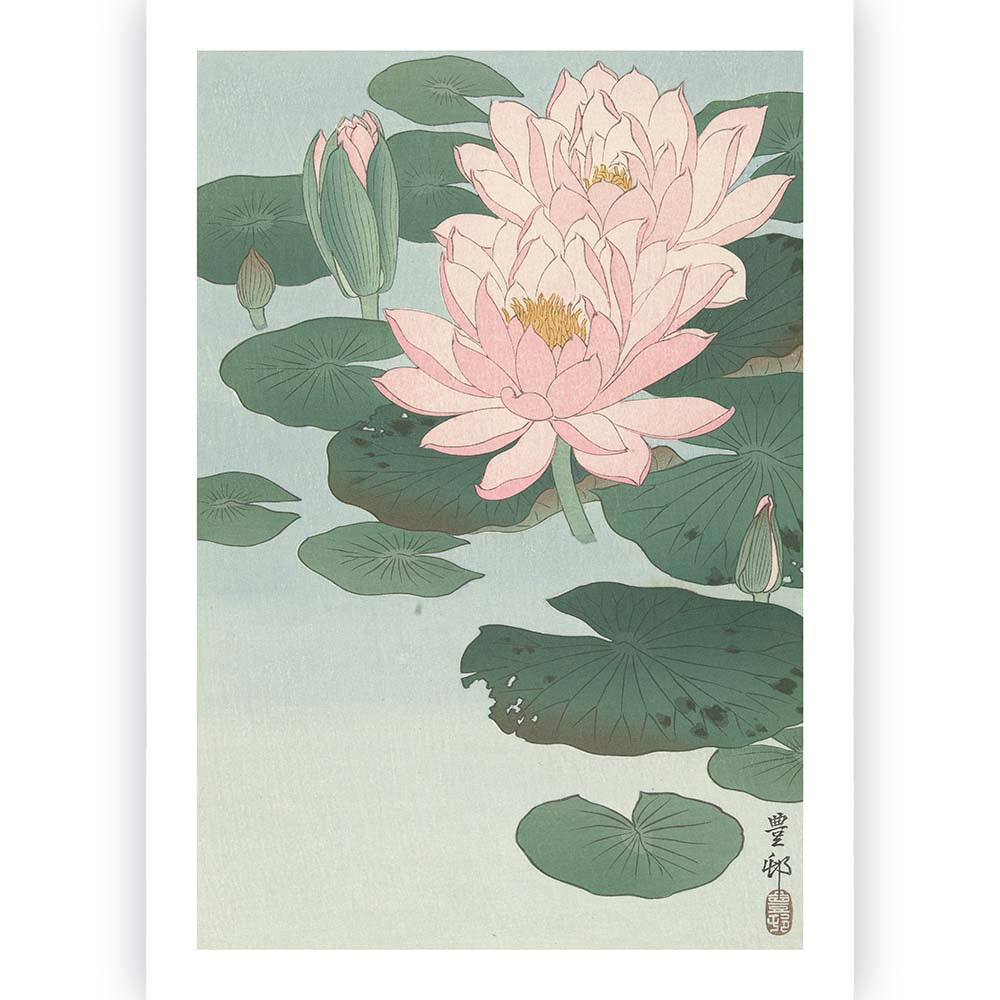 Poster Ohara Koson - Water Lily 70x100 cm