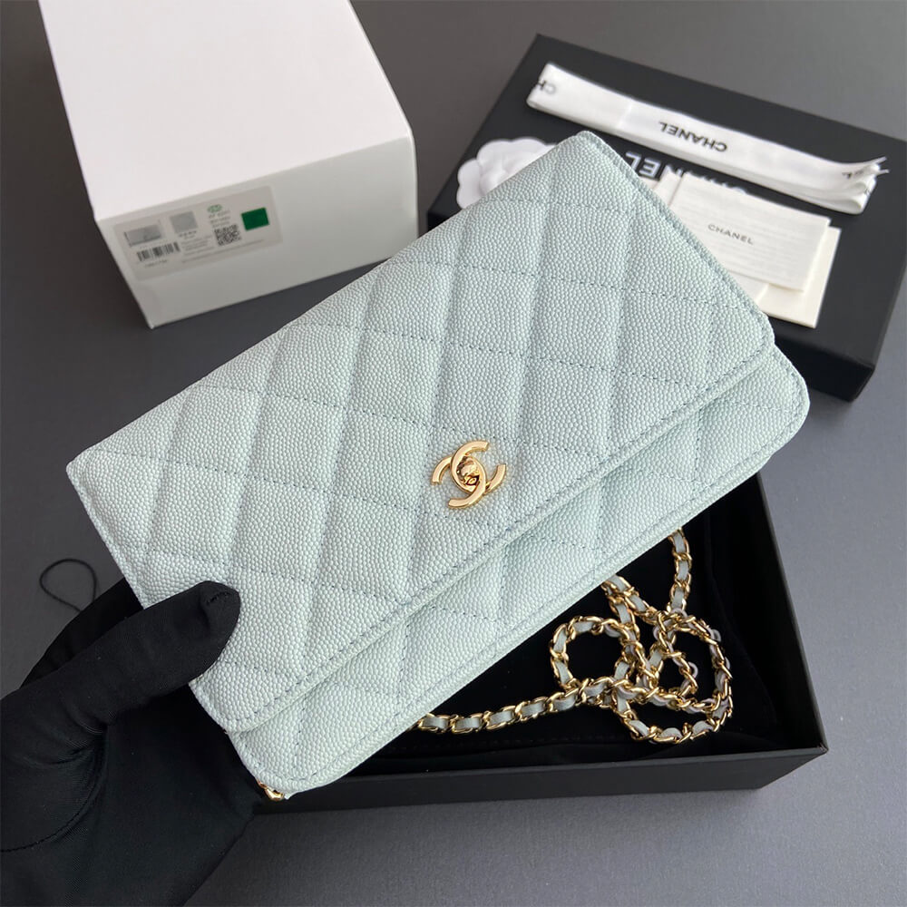 CHANEL Classic Wallet On Chain(high-end grade) - Top Club