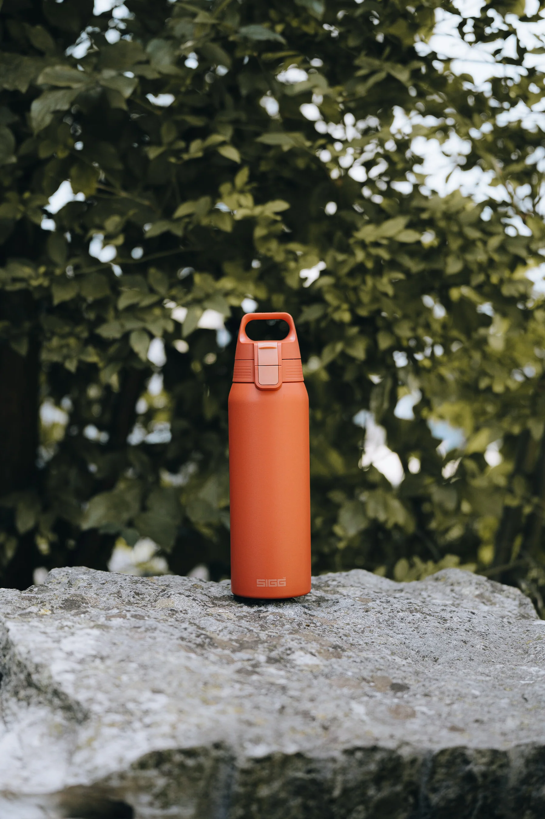 Shield Therm ONE