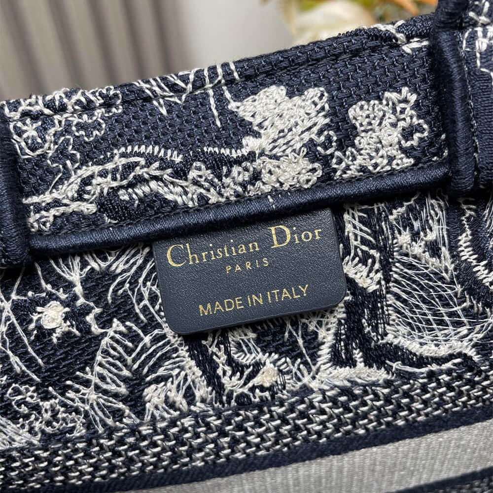 Small Dior Book Tote - Top Club