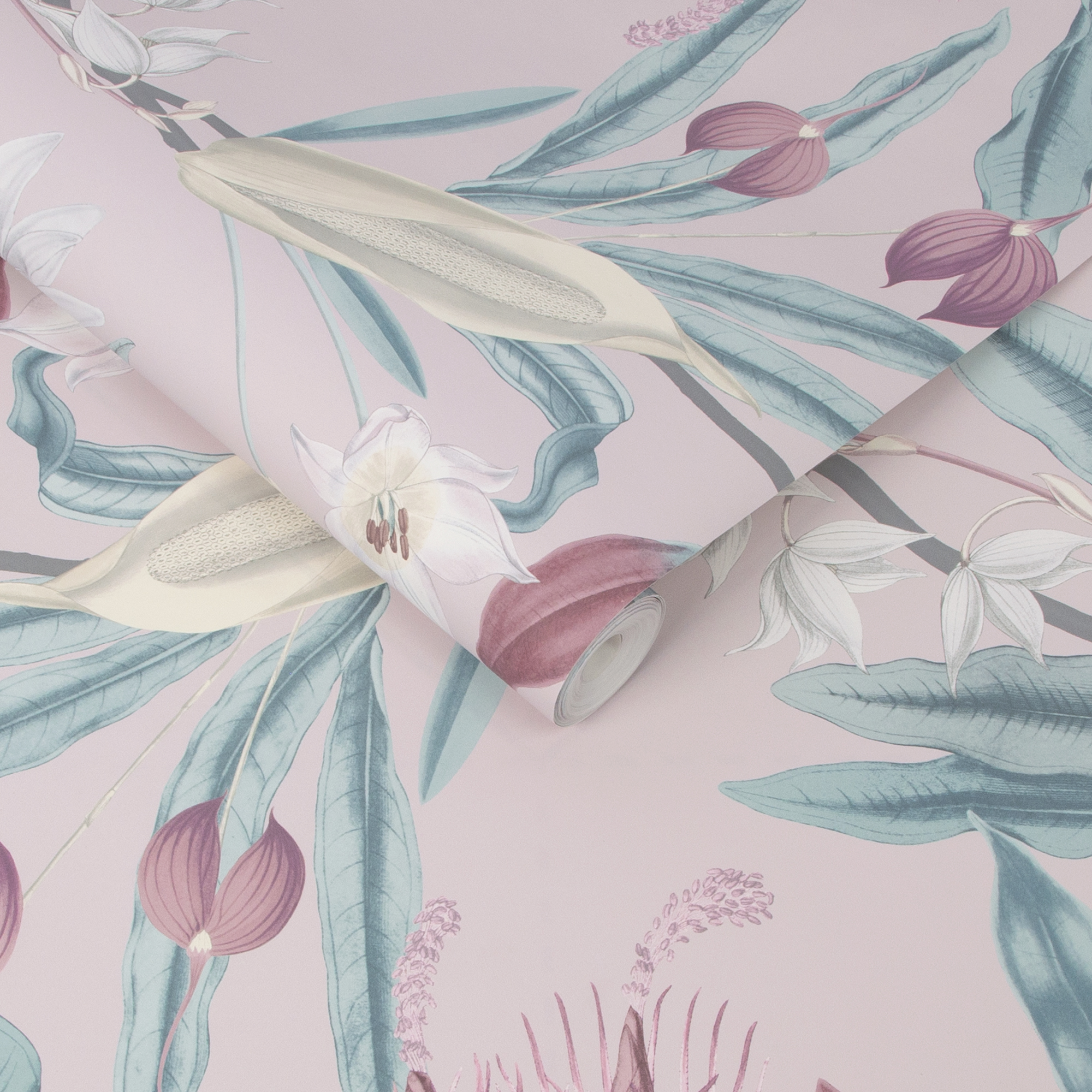 Graham & Brown  vliesbehang  Paradise Blush Graham & Brown  vliesbehang  Paradise Blush