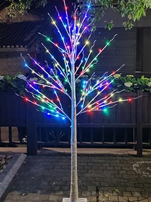 colorgul birch tree light