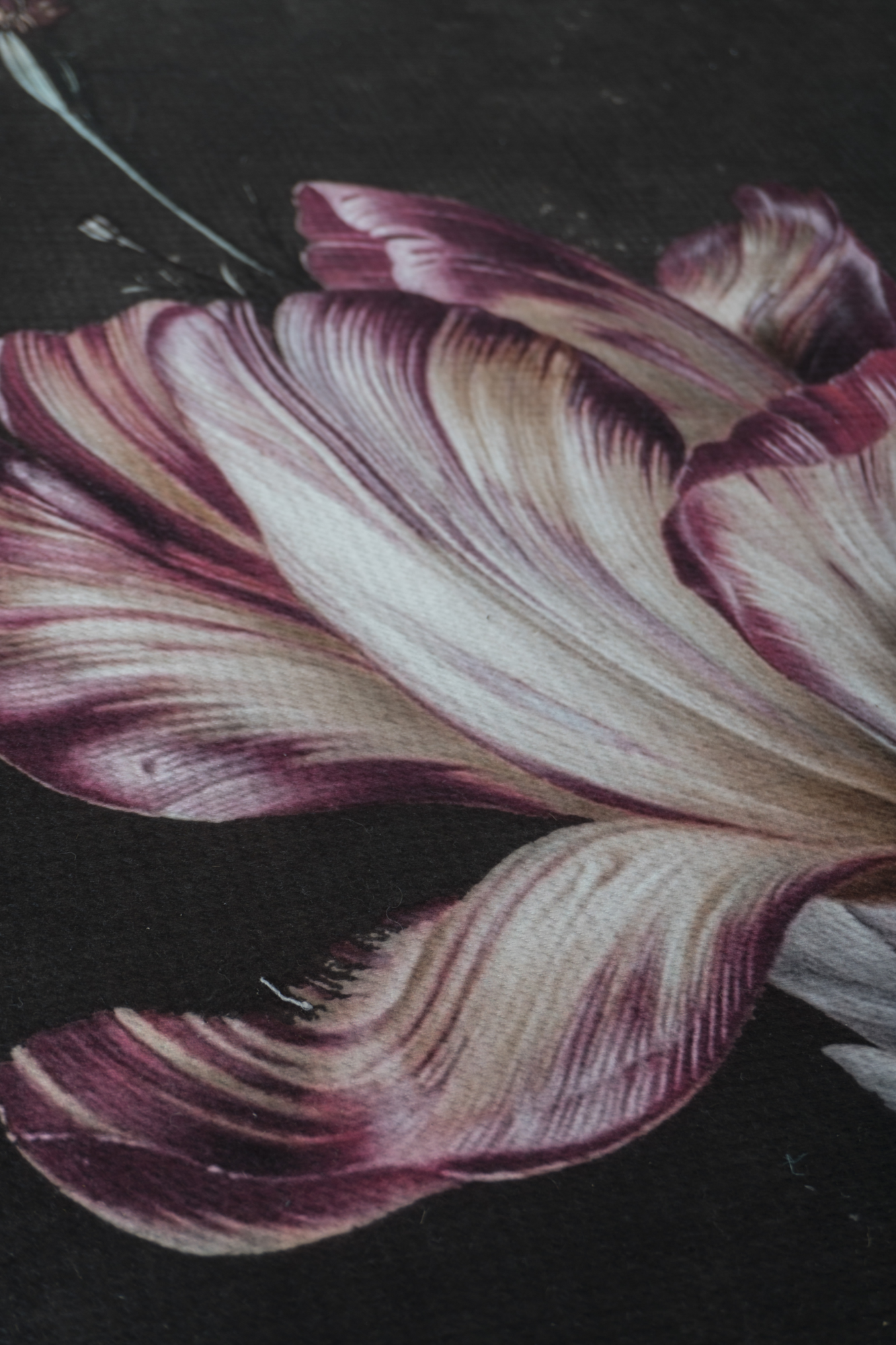 Vloerkleed Flores 200 x 290 cm