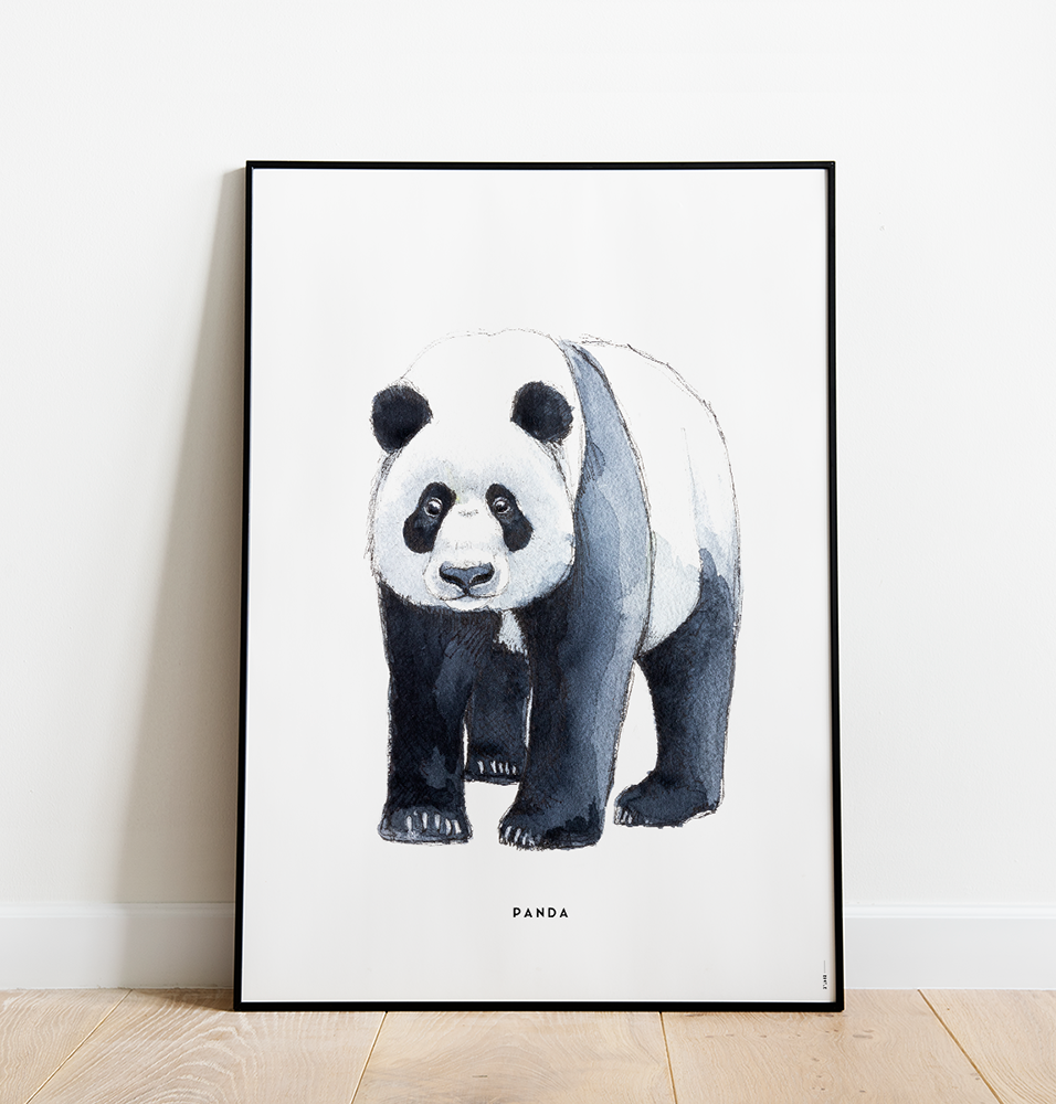 Poster 50x70 Panda