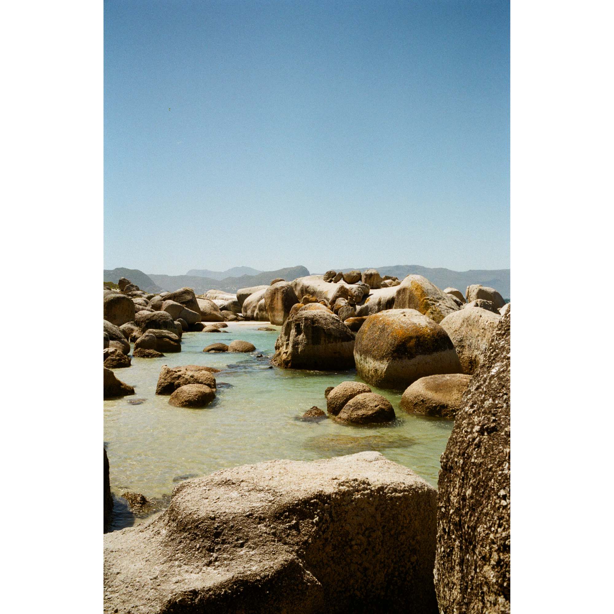 Foto op plexiglas Penguin beach 148 x 98 cm