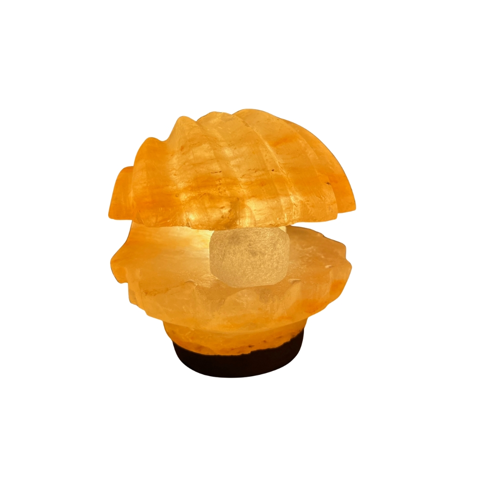 Tafellamp Schelp met parel zoutlamp