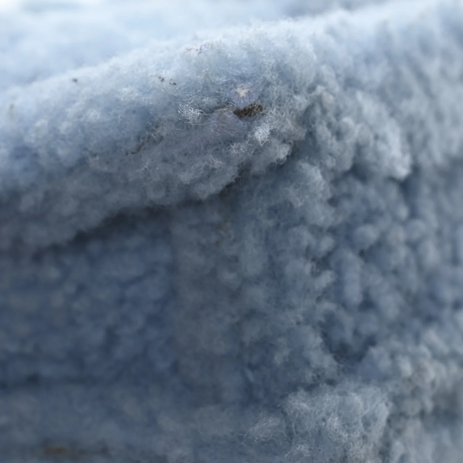 Shearling Le Bambidou Light Blue - Top Club