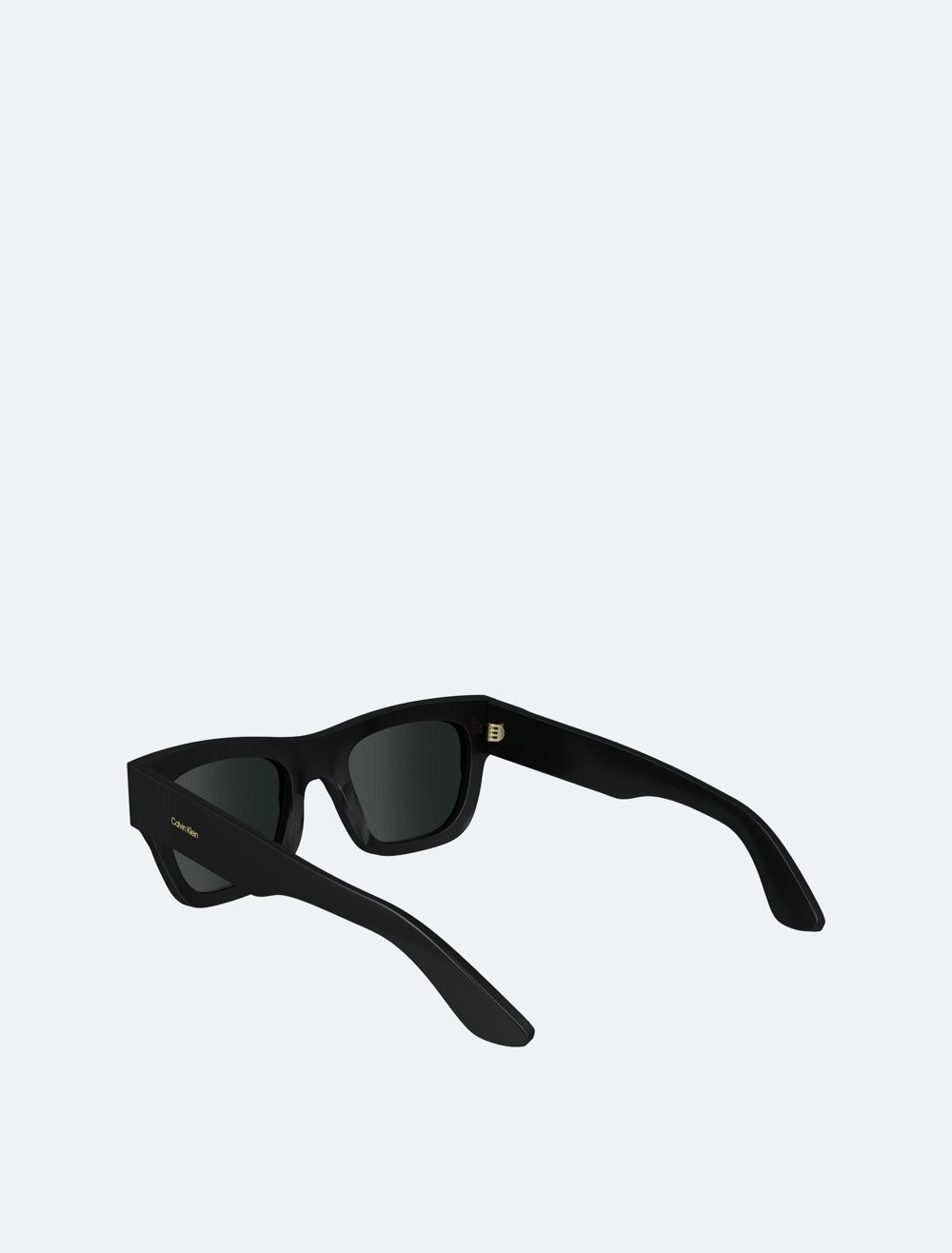 COACH Naturals Modified Rectangle Sunglasses