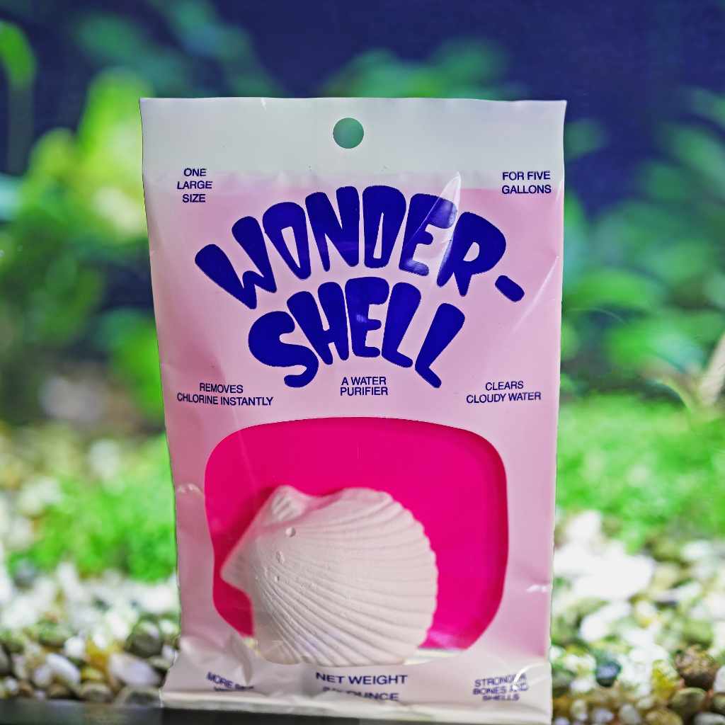 Wonder Shell