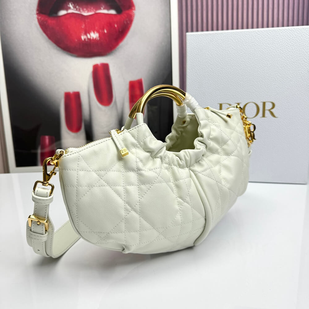 Dior Walk in Dior Purse - Top Club
