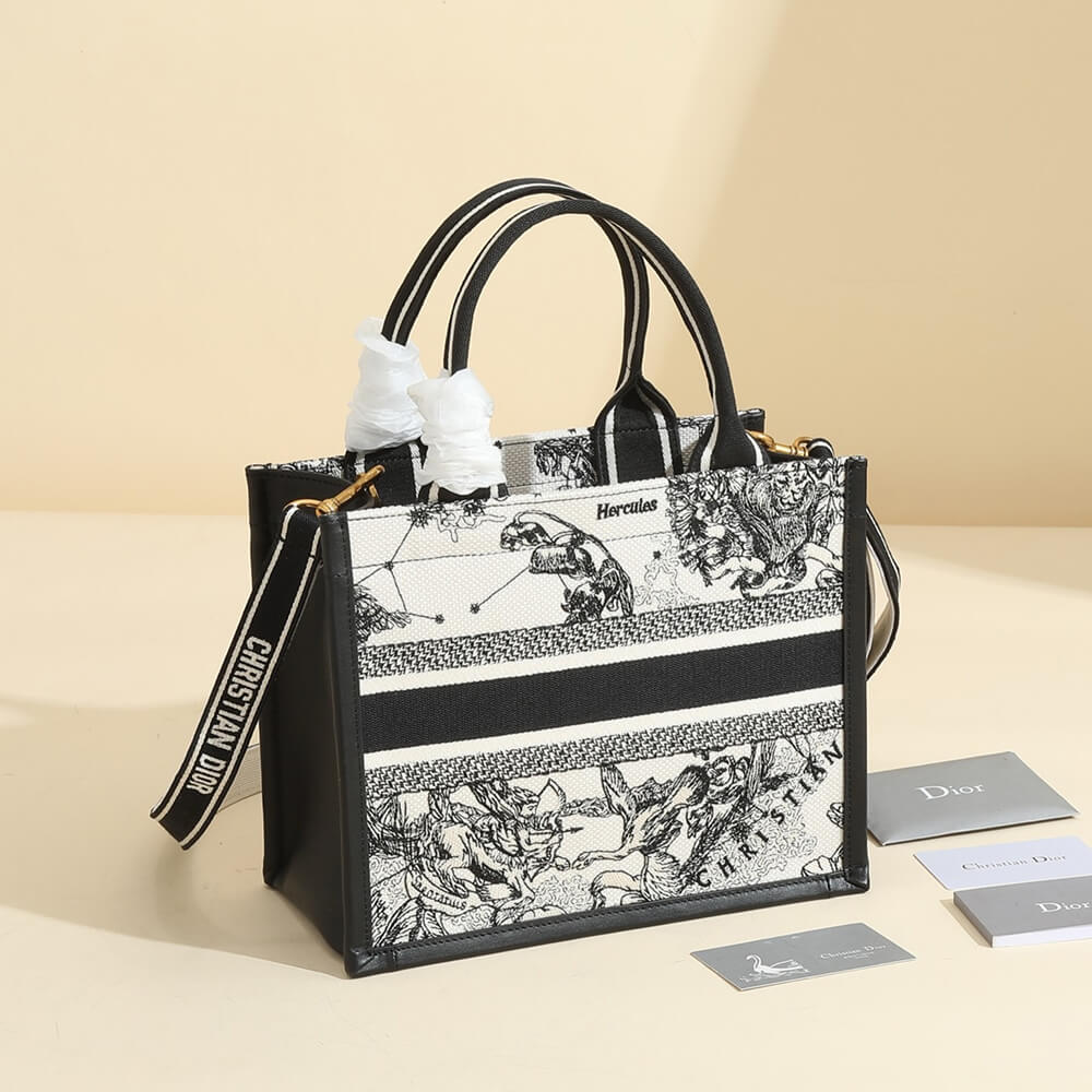 Small Dior Book Tote - Top Club