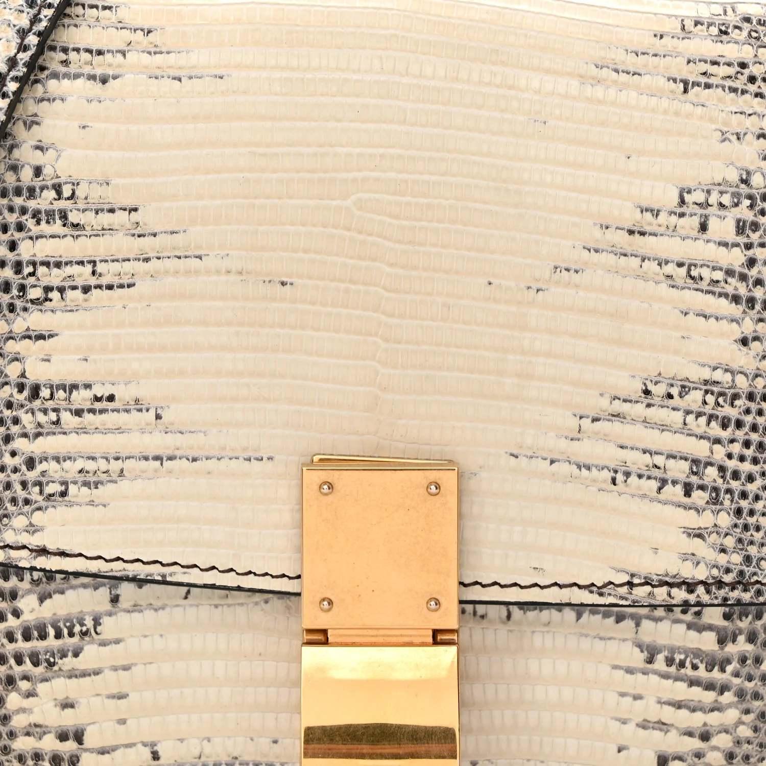 Lizard Small Classic Box Flap Bag Natural - Top Club