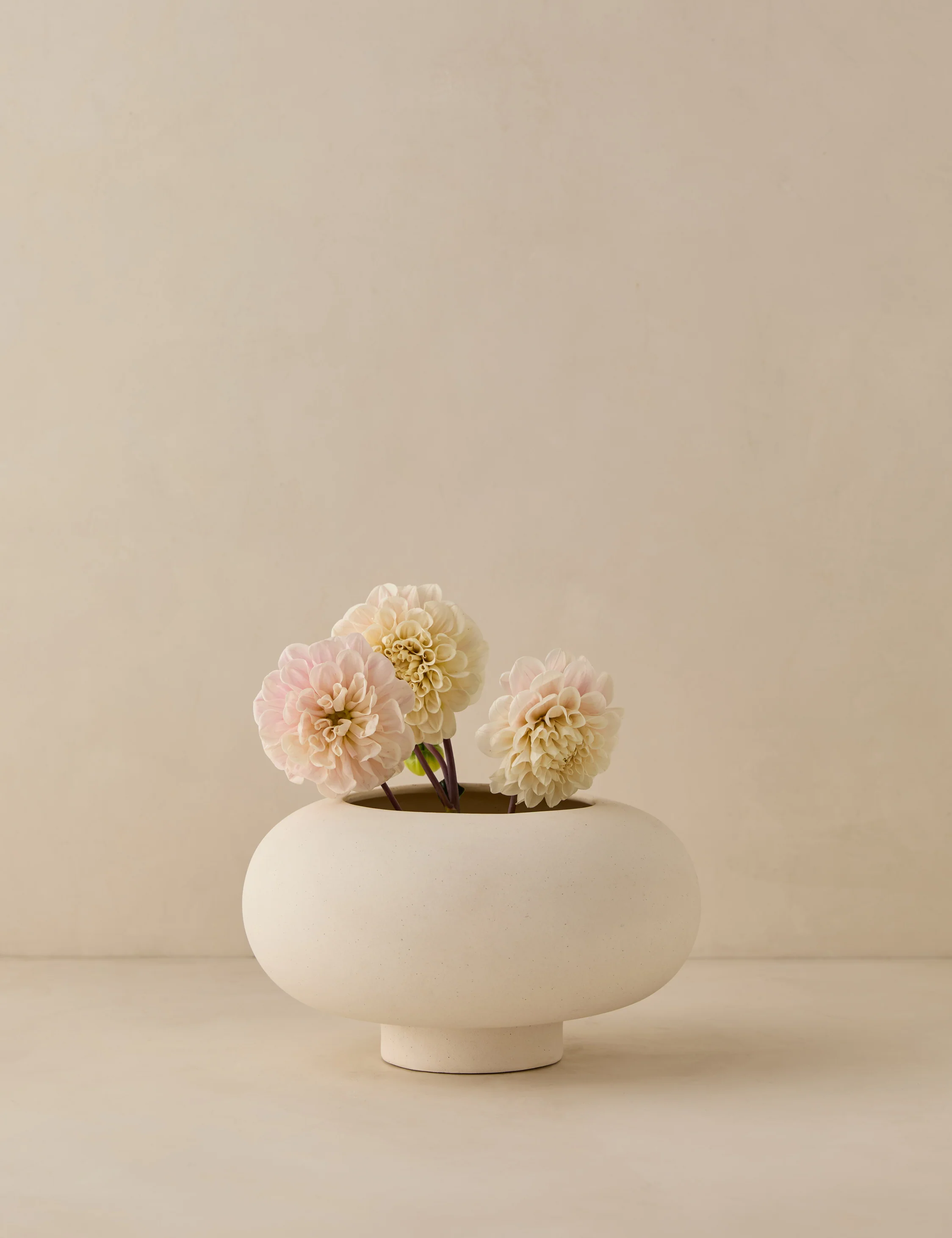 Coperta Bowl