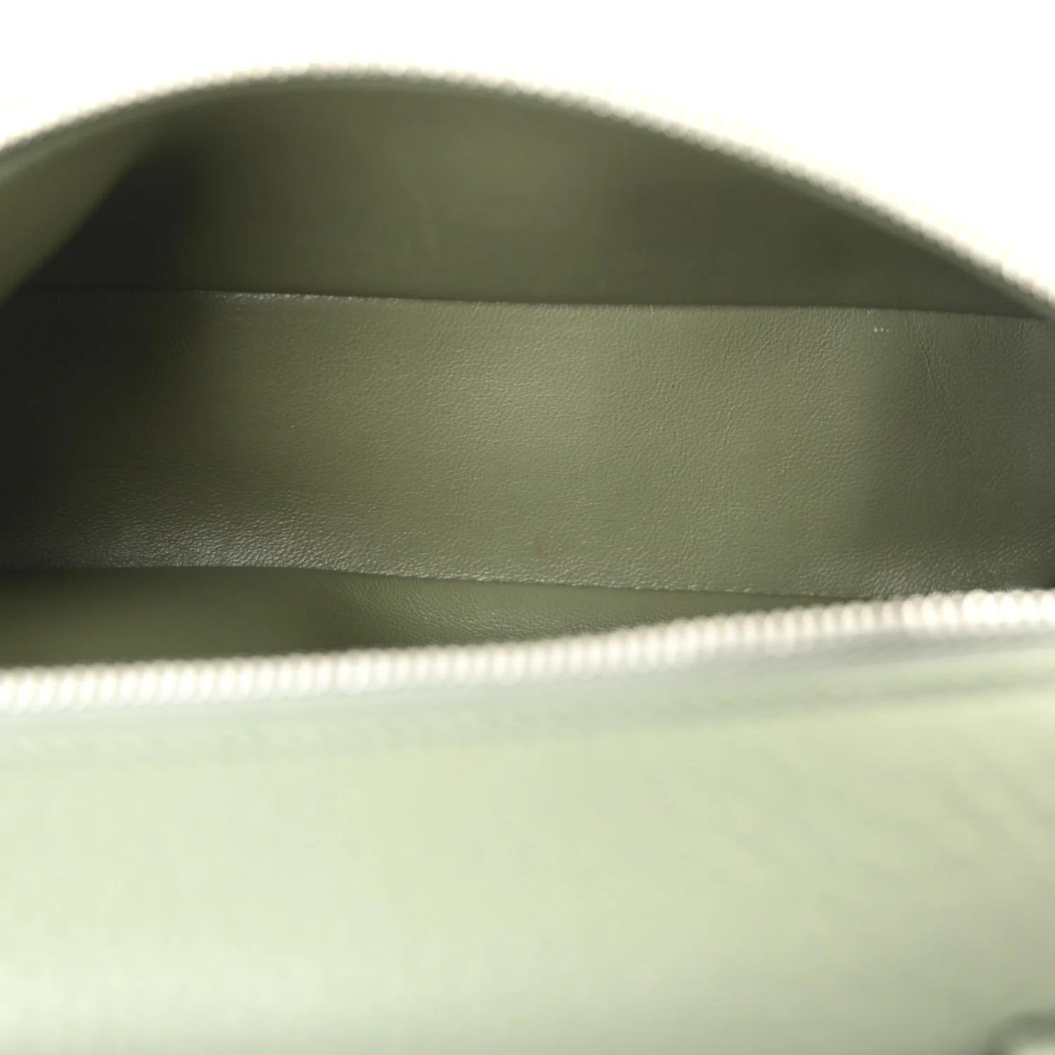 Grained Calfskin L19 Extra Pocket Pouch Sage Brush Leaves - Top Club
