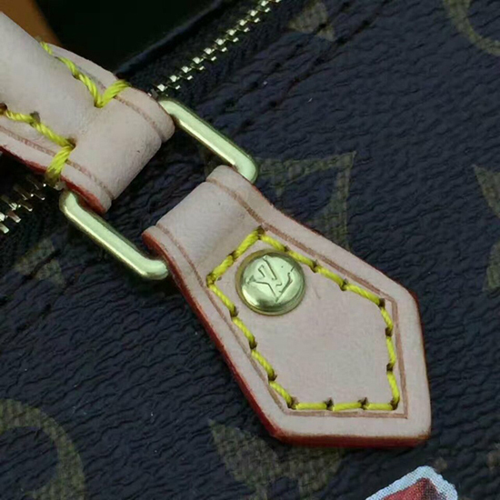 L M62208 Nano Speedy Crossbody Bag Monogram Canvas - Top Club