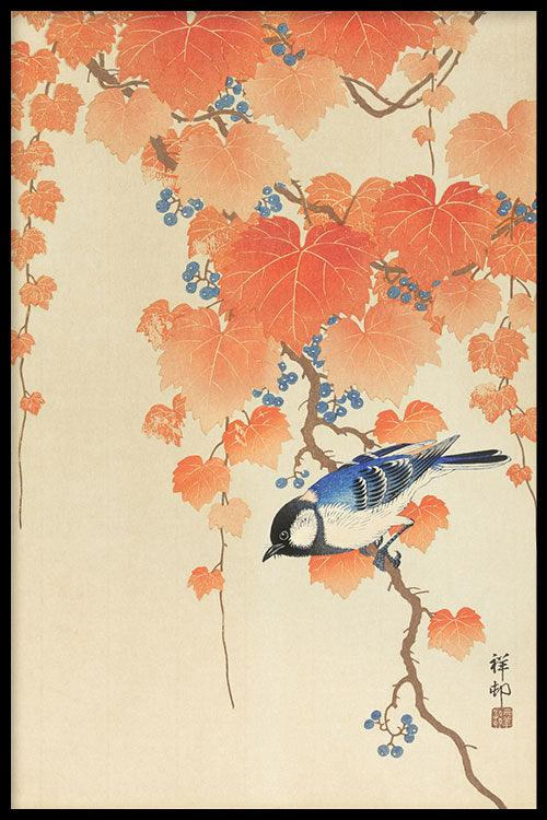 Walljar poster ingelijst - Ohara Koson - Great Tit On Paulownia Branch Poster ingelijst - 70 x 100 cm
