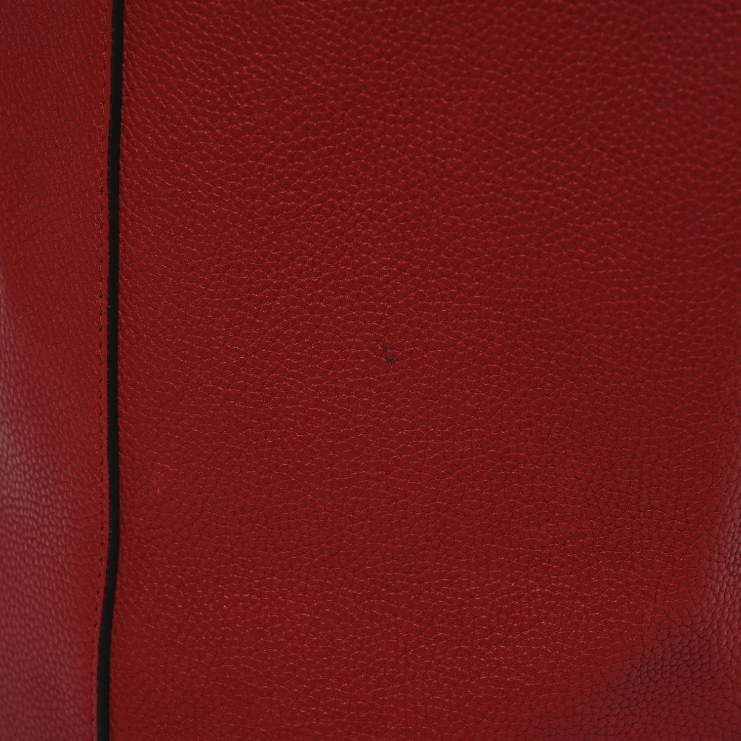 Soft Grained Calfskin Medium Belt Cabas Phantom Coquelicot - Top Club