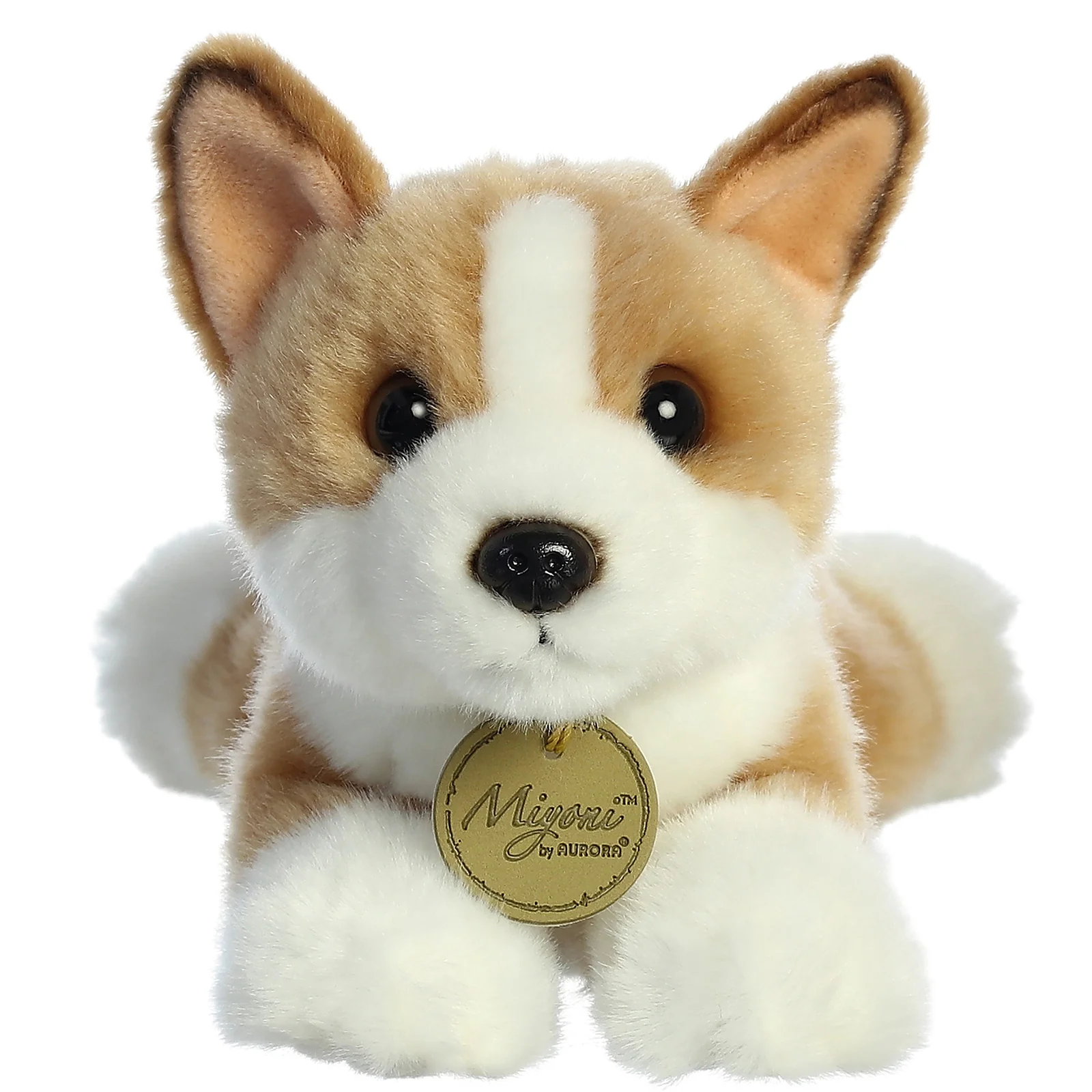Pembroke Welsh Corgi Puppy Dog 8