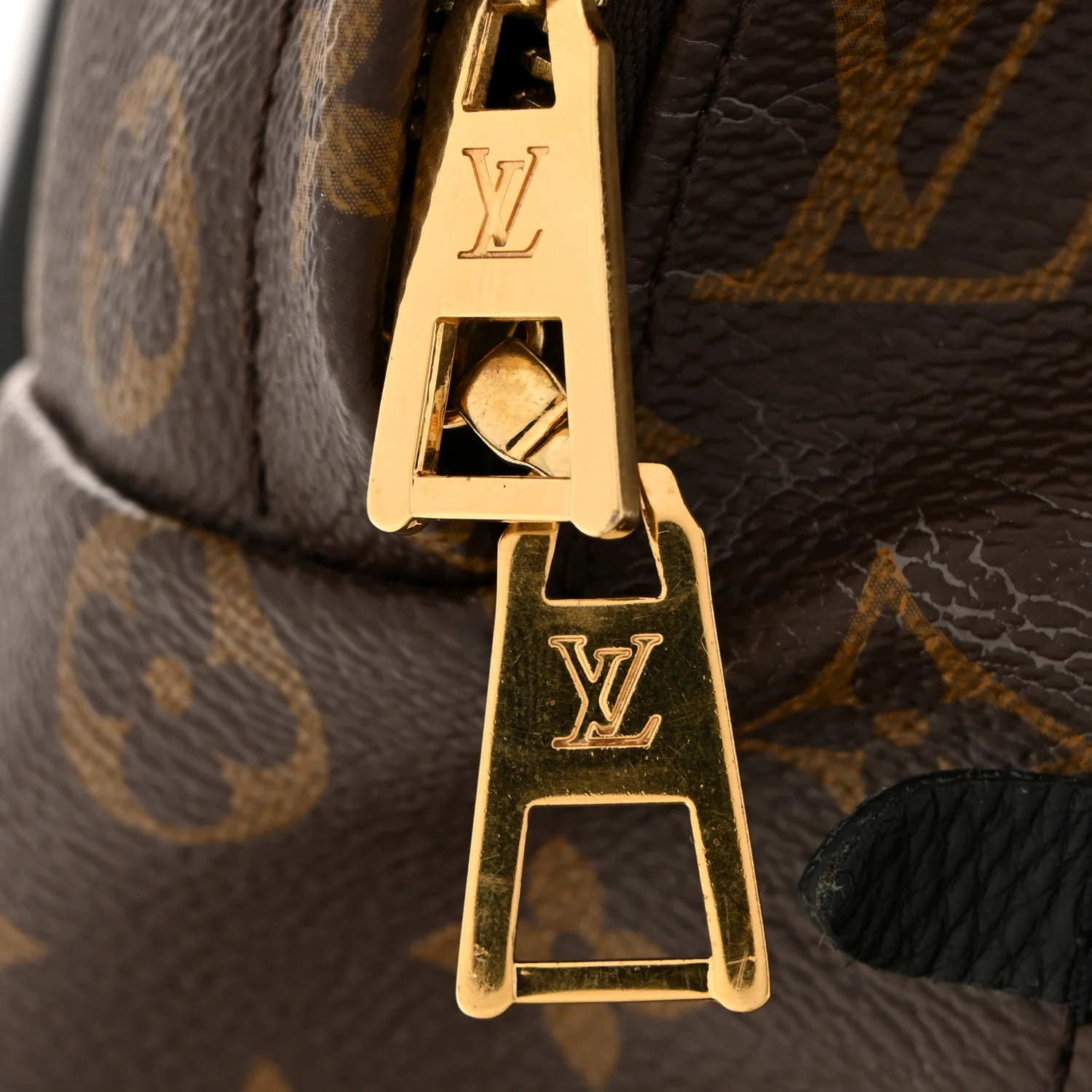 Monogram Palm Springs Backpack MM - Top Club