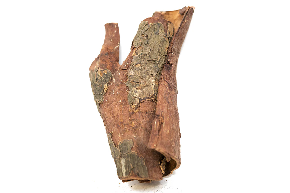 Catappa Bark