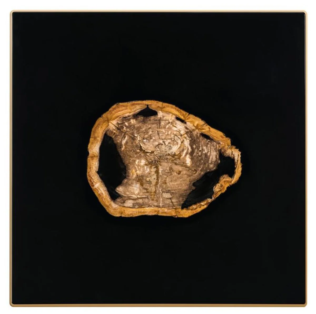 Designer coffee table with incorporated petrified wood - Limited Edition