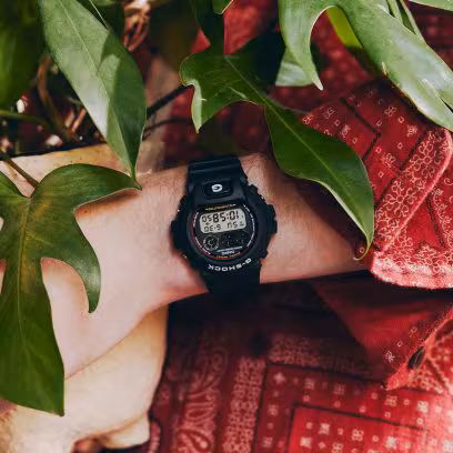 DW6900RL-1