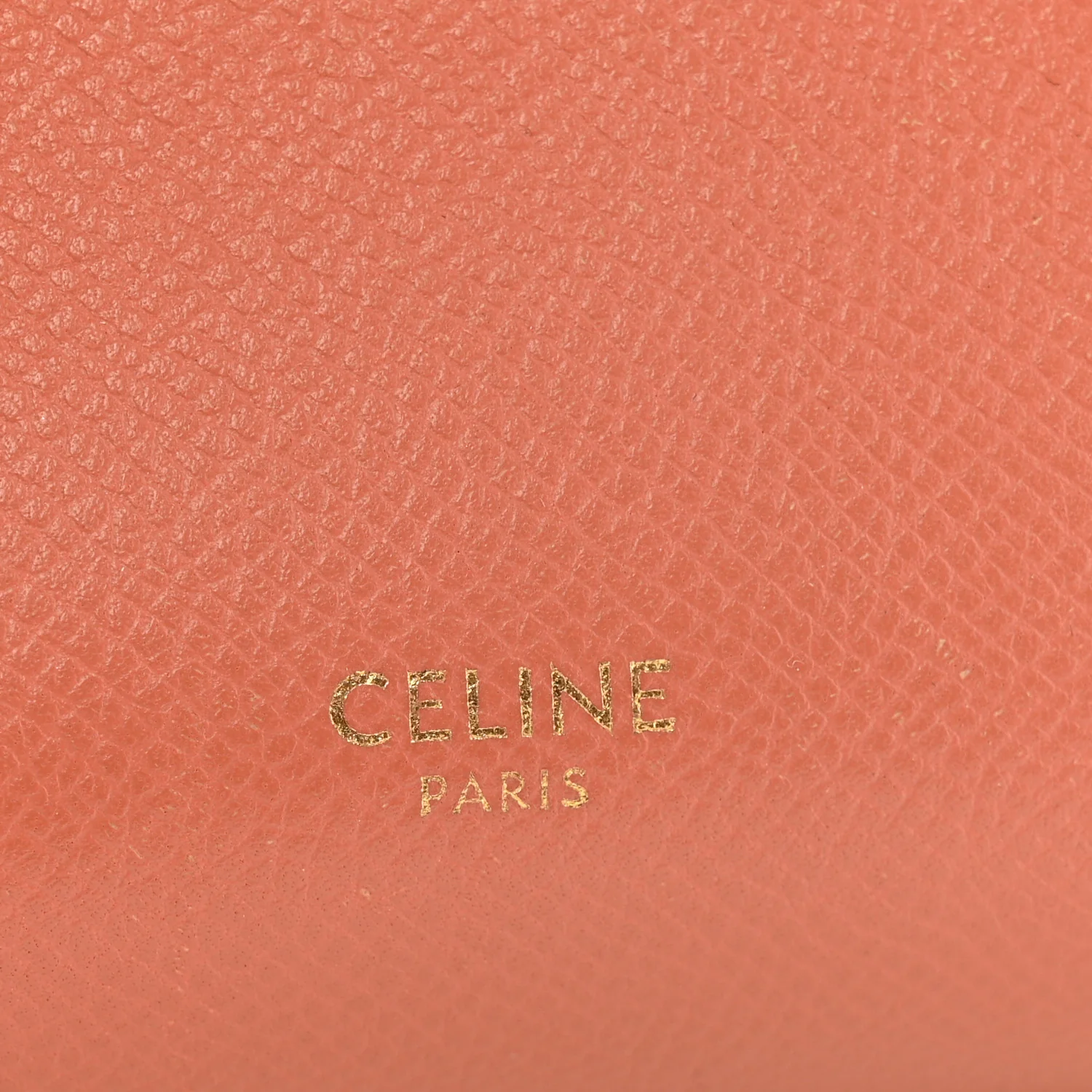 Grained Calfskin Pico Belt Bag Lychee - Top Club