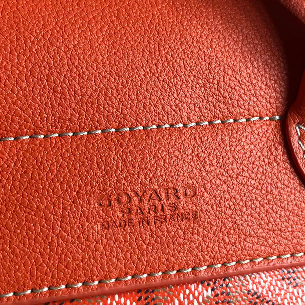 Goyard Alpin Mini Backpack - Top Club
