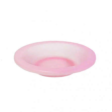 Hosa INOX PLATE 25 - Camping plate