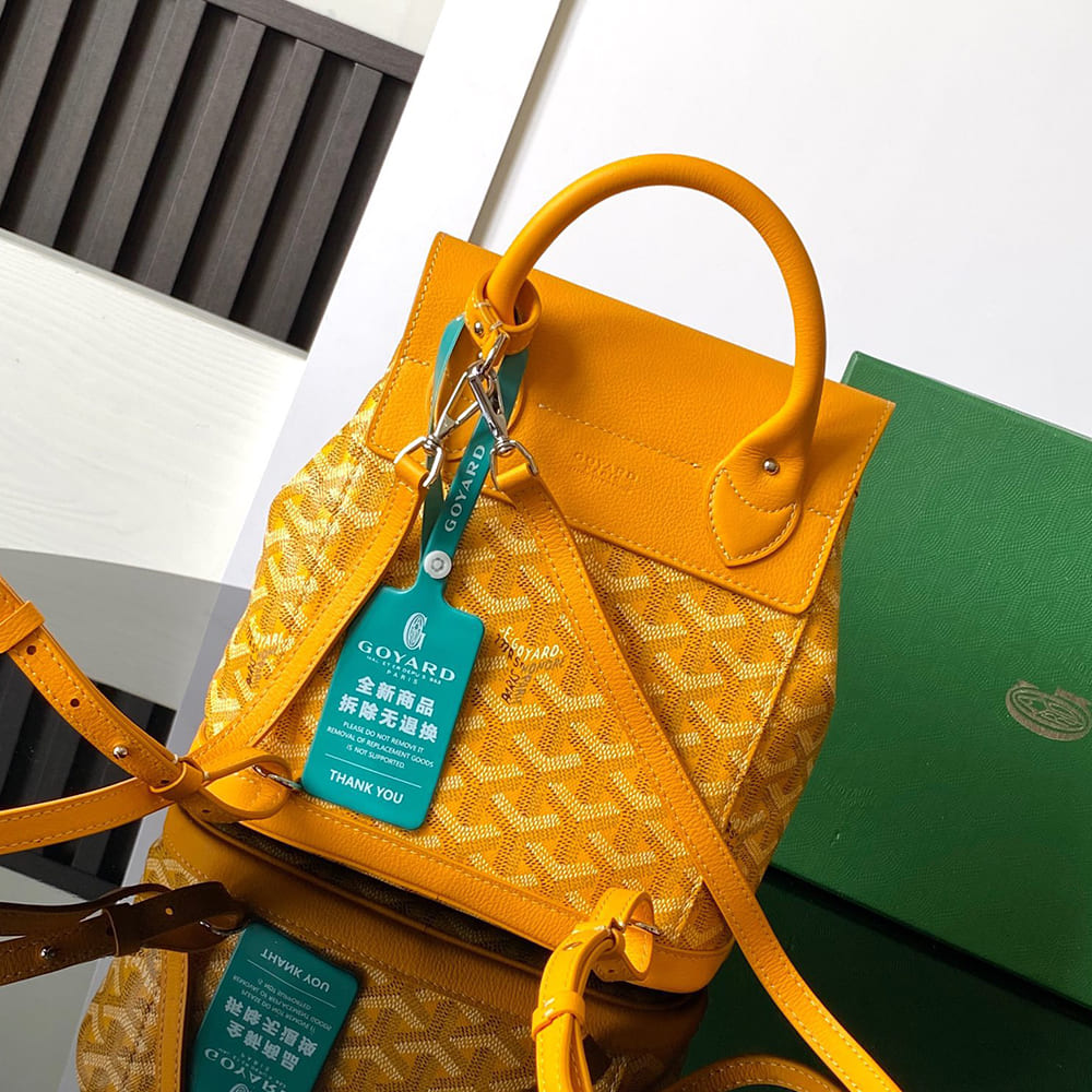 Goyard Alpin Mini Backpack - Top Club