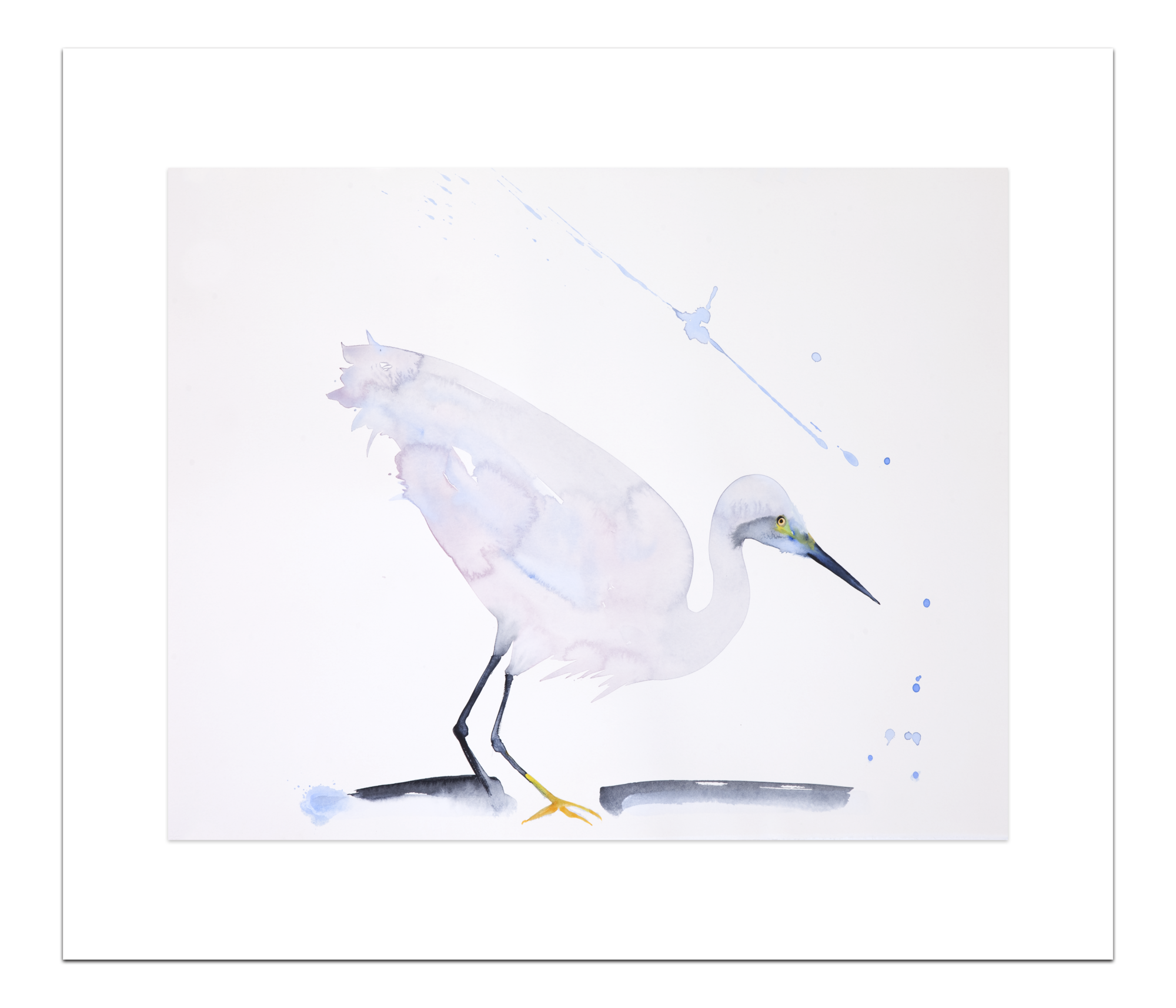 Poster Witte Reiger 20 x 30 cm