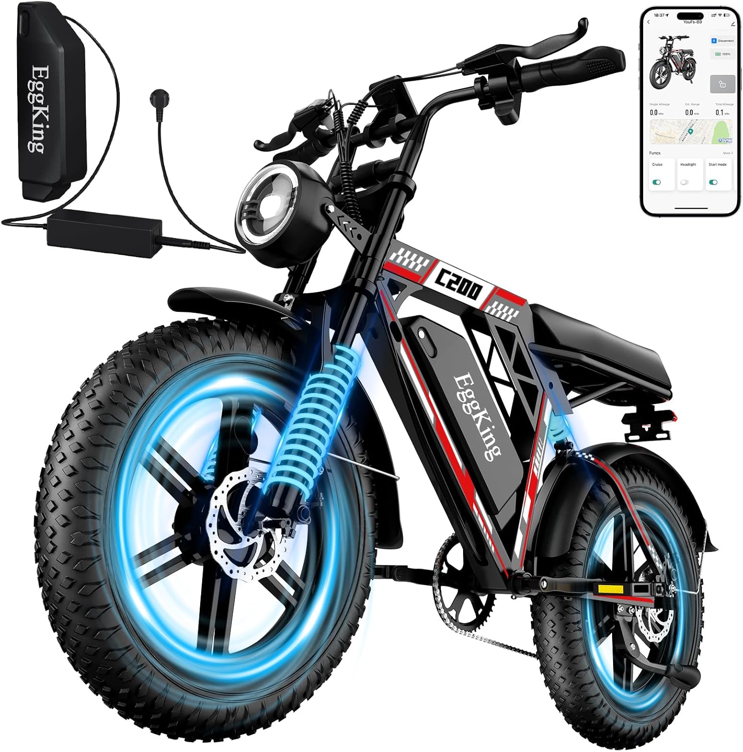 Bicicletta Elettrica 20