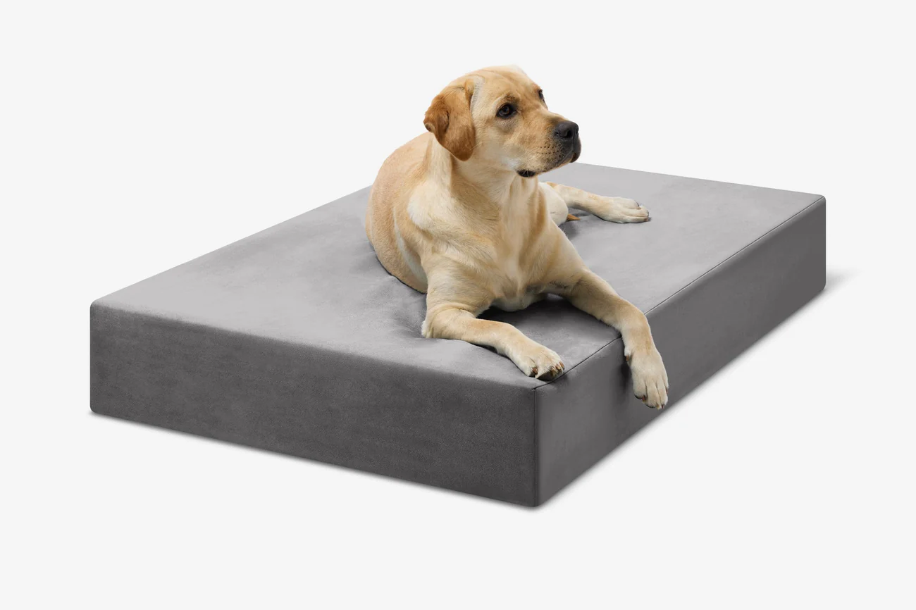 Original Orthopedic Dog Bed - Charcoal Gray