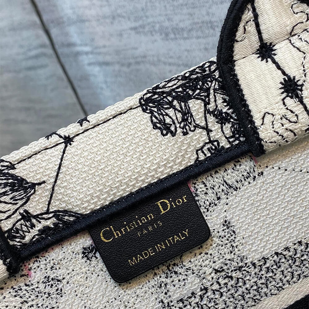Small Dior Book Tote - Top Club