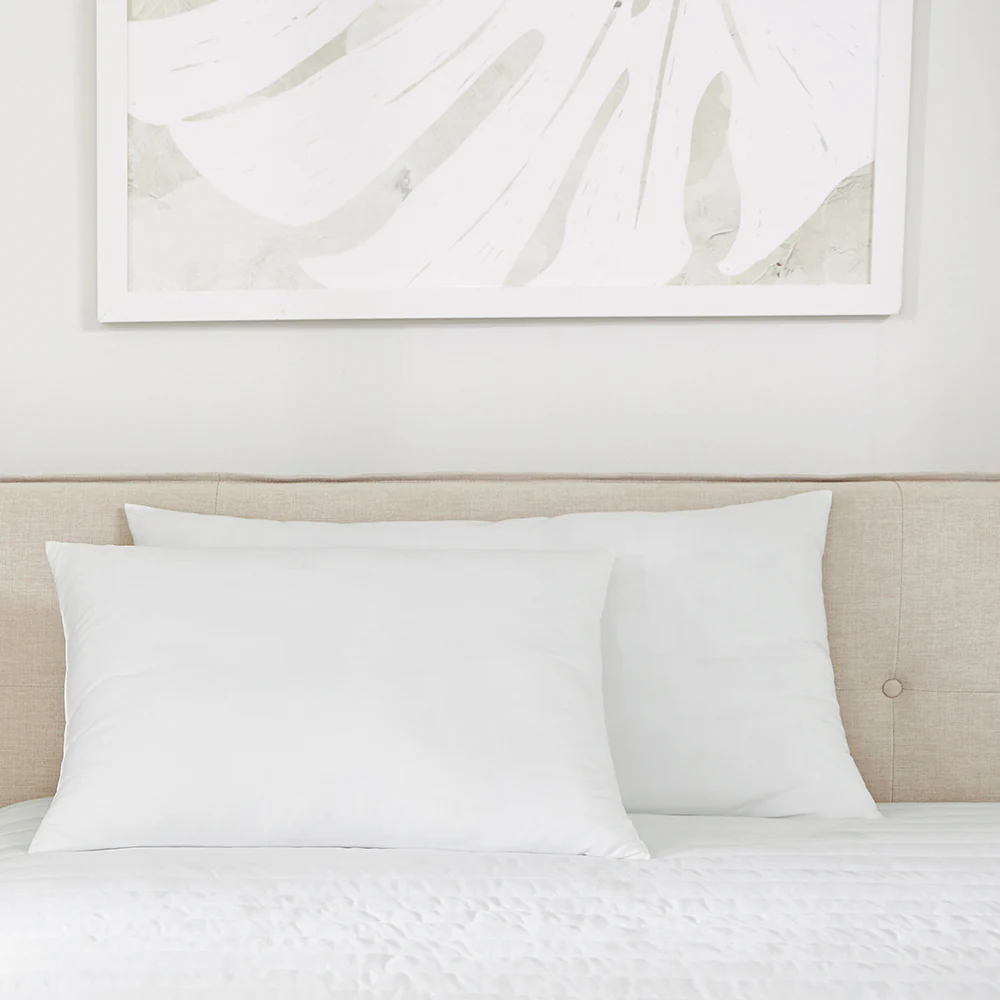 Plush Microfiber Pillow 2-Pack (Sale)