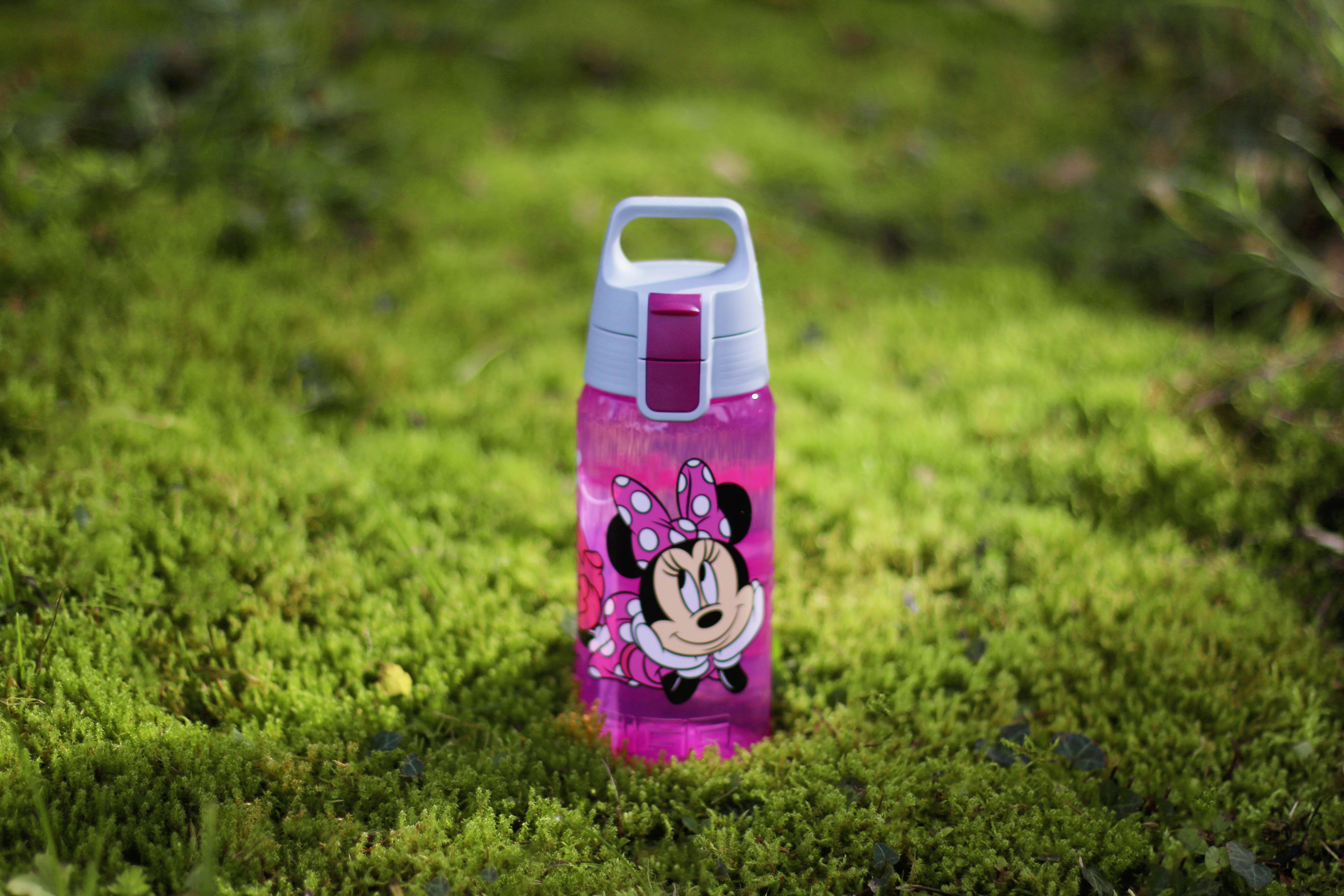 VIVA ONE Disney