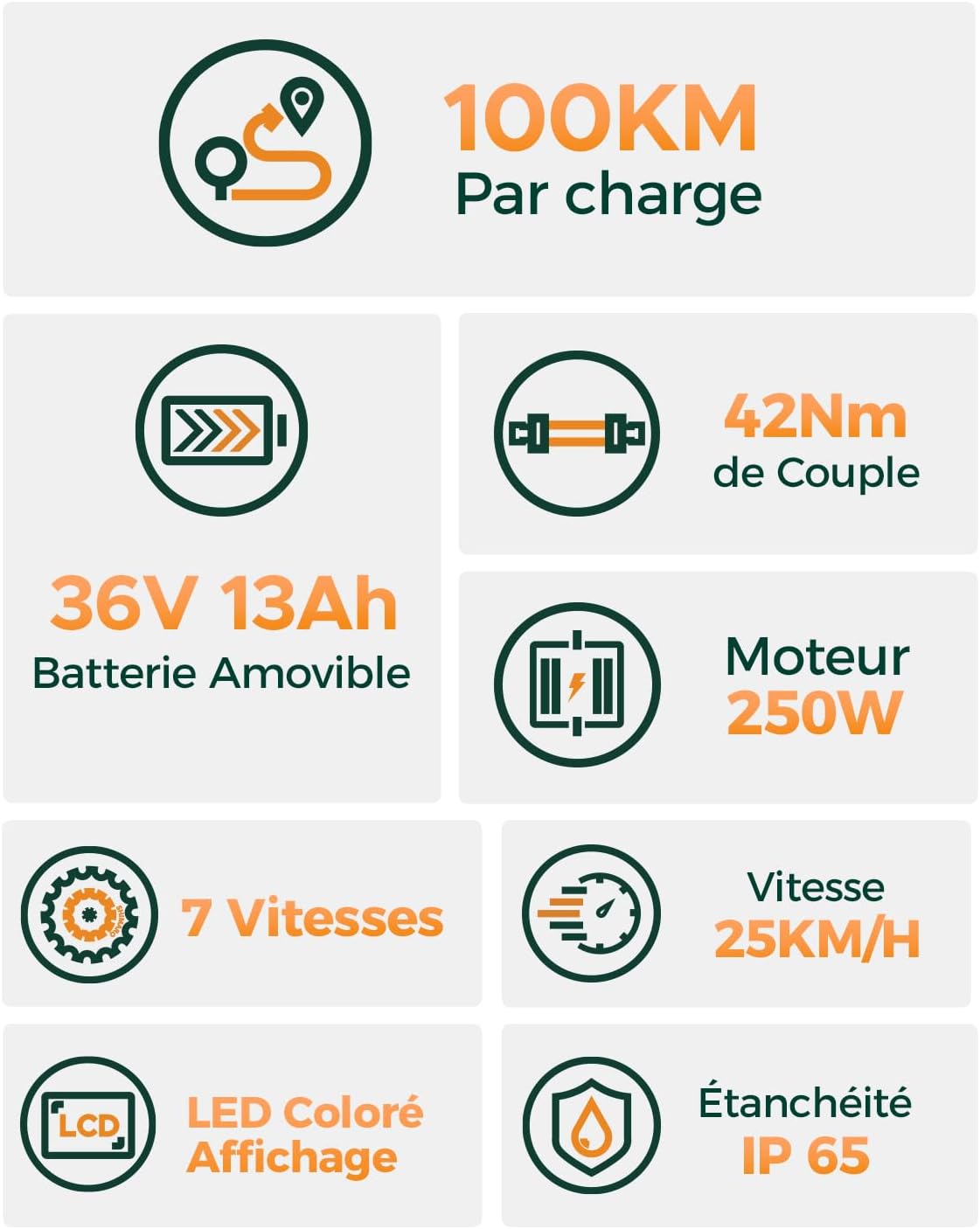 Bici Elettrica Per Adulti Da 26