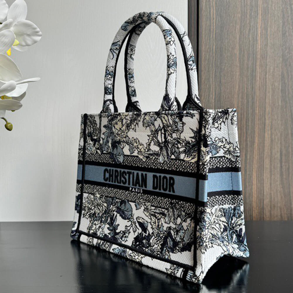Small Dior Book Tote - Top Club