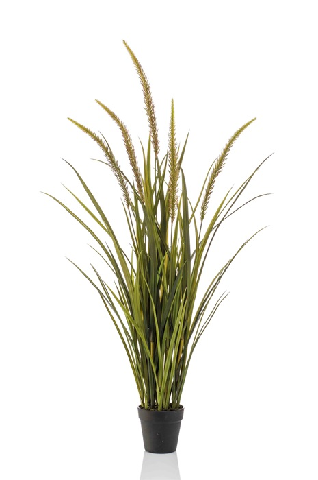 Grass foxtail 115 cm