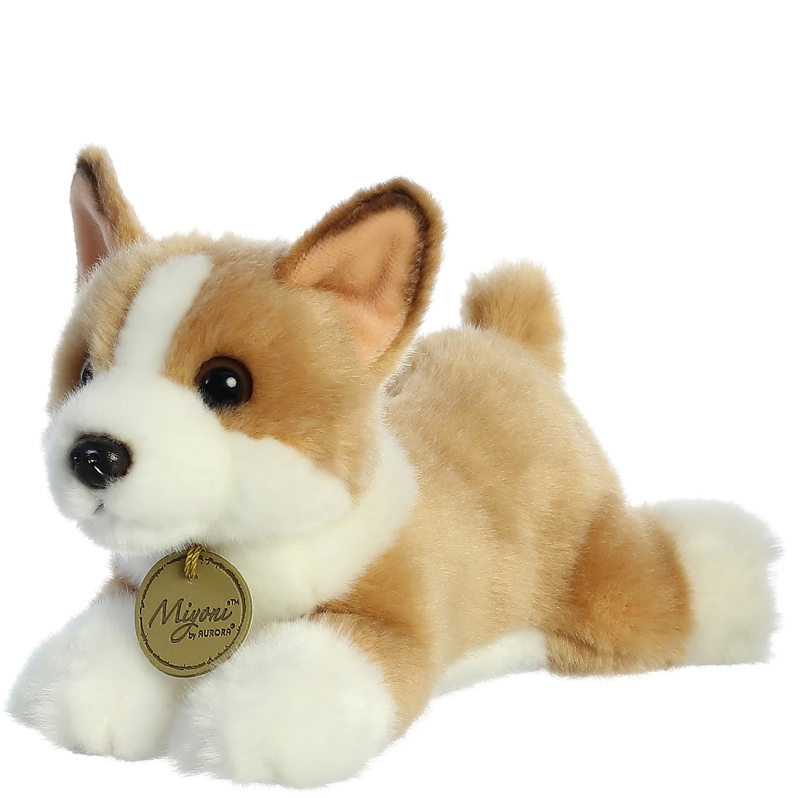 Pembroke Welsh Corgi Puppy Dog 8