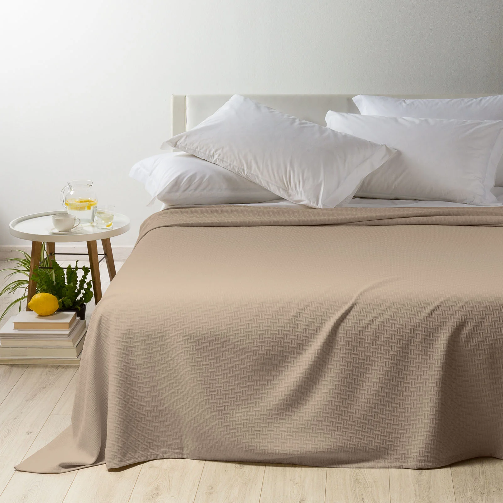 Non -Quilted Cotton Cotton Rodeo Coleffi Single Tortora