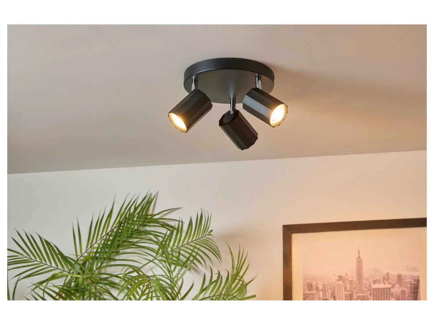 LIVARNO home Plafonnier