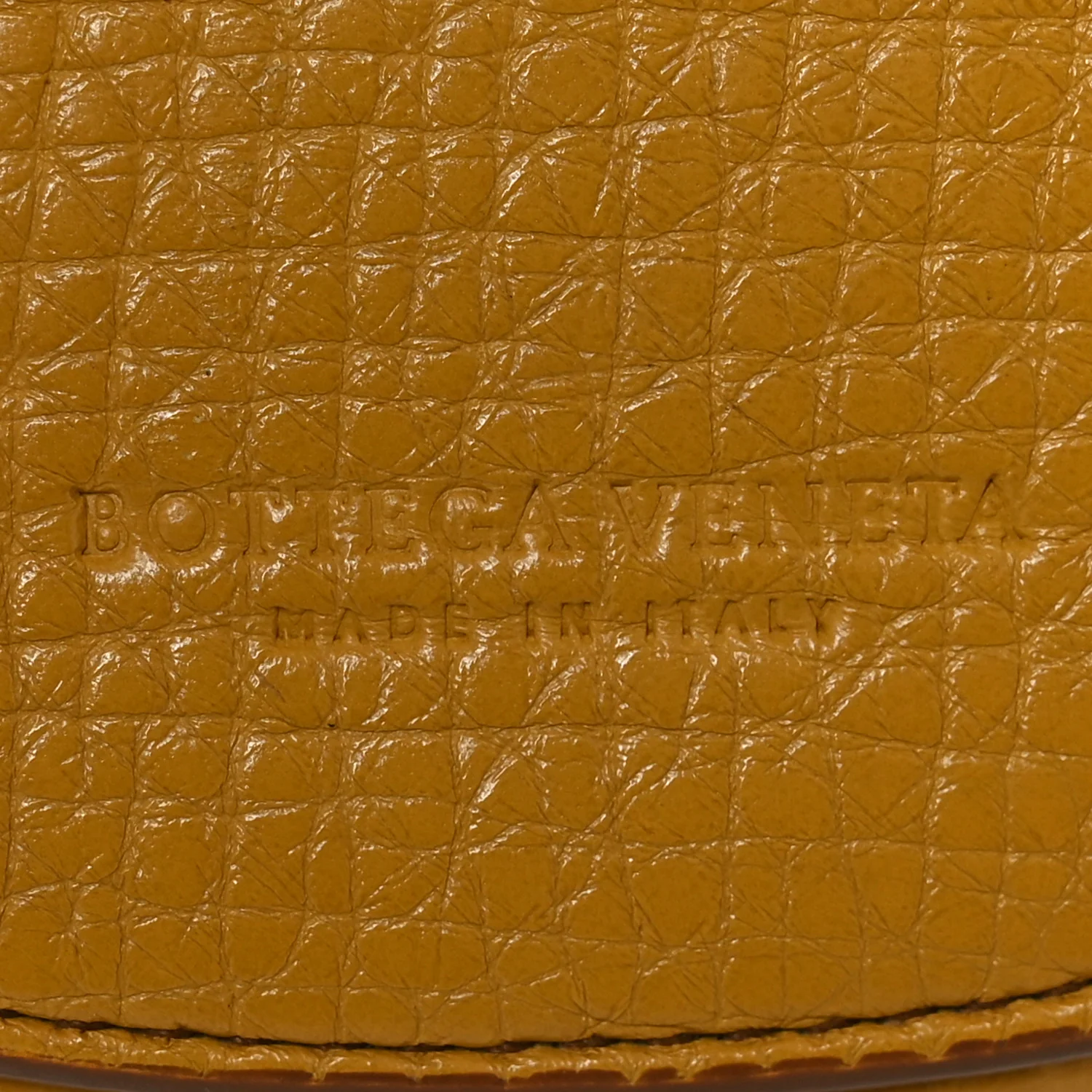 Palmellato Calfskin Rounded Belt Bag Butterscotch - Top Club