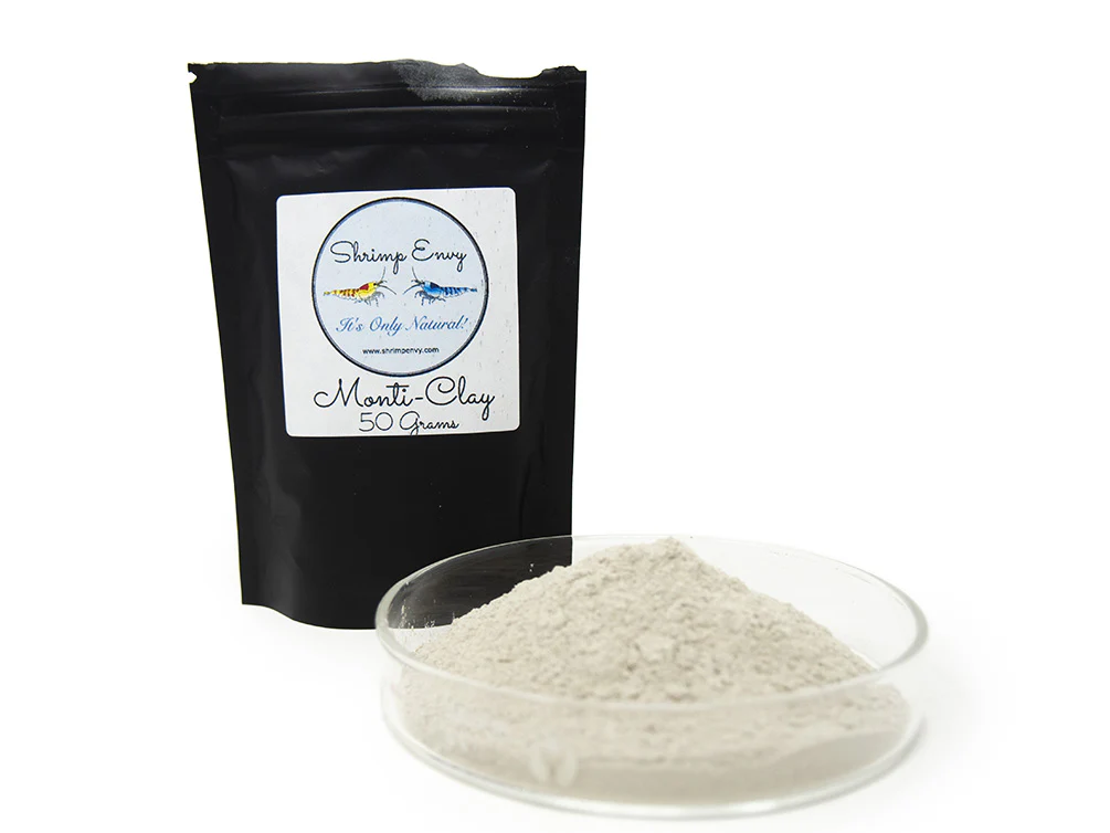 Shrimp Envy - Monti Clay