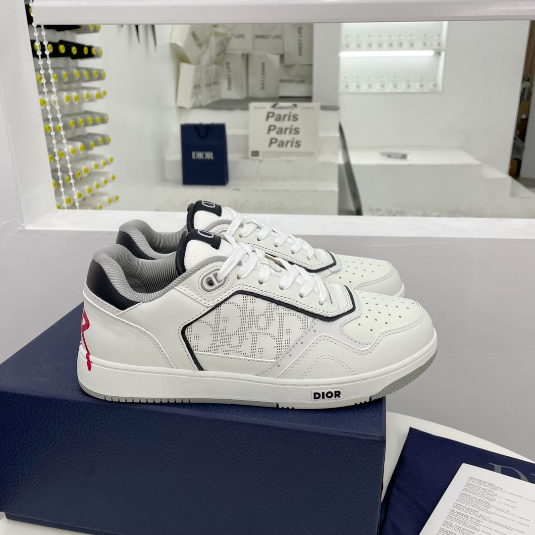 Dior B27 Sneakers (AAA High Quality Version) - Sneaker Replica Workshop