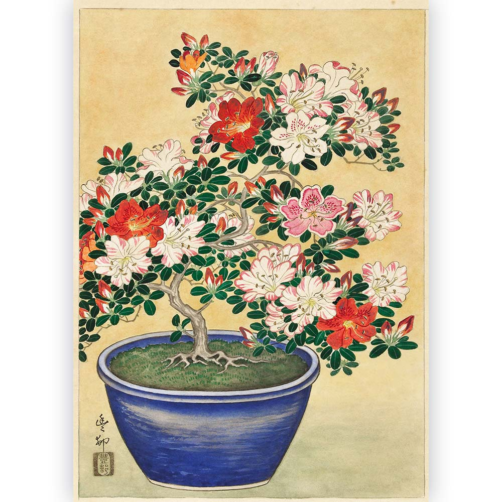 Poster Ohara Koson - Blooming Azalea in Blue Pot 70x100 cm